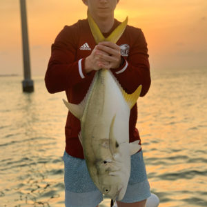 Jack_Crevalle_0004